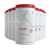 amineo Whey Dragonfruit 525g